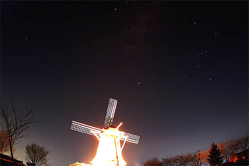 -7ǥνΥȥ饤Ǥϥ֥륯åƸƤ